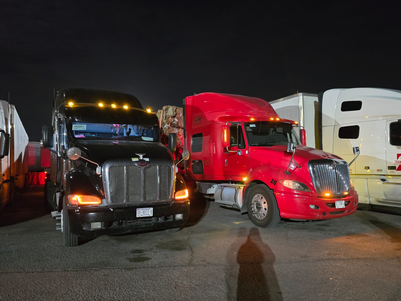 Molix Transport - Imagen 28